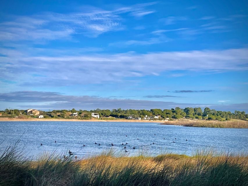 4X4 tour of the Secret Beaches of Melides - Who Should Consider This Tour?