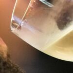 4x4 & Vinho Verde with transportation for the activity - The Highlights in Detail