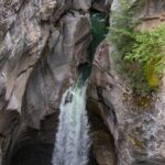 5.5-Hour Jasper Wildlife and Waterfalls Tour with Maligne Lake Cruise from Jasper - The Itinerary in Detail