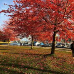 5 Days of Adventure in Vancouver  Activities-Only Tour - The Value of Included Tickets and Transport