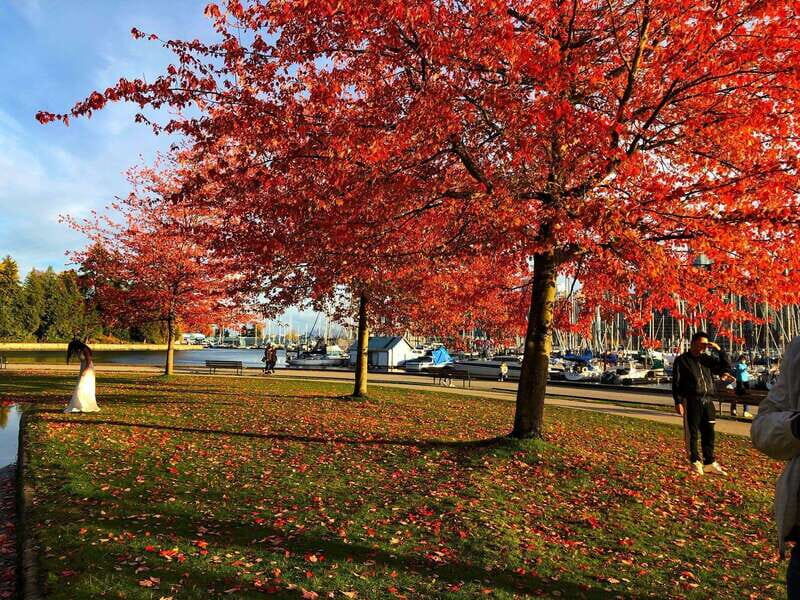 5 Days of Adventure in Vancouver  Activities-Only Tour - The Value of Included Tickets and Transport