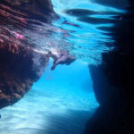 5-hour Cape Greco Caves kayaking + Snorkelling trip - Who is This Tour Perfect For?