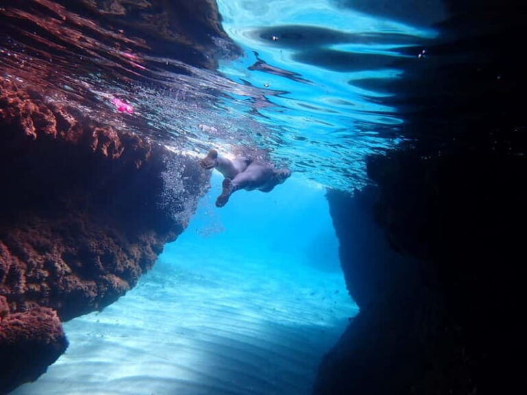 5-hour Cape Greco Caves kayaking + Snorkelling trip - Who is This Tour Perfect For?