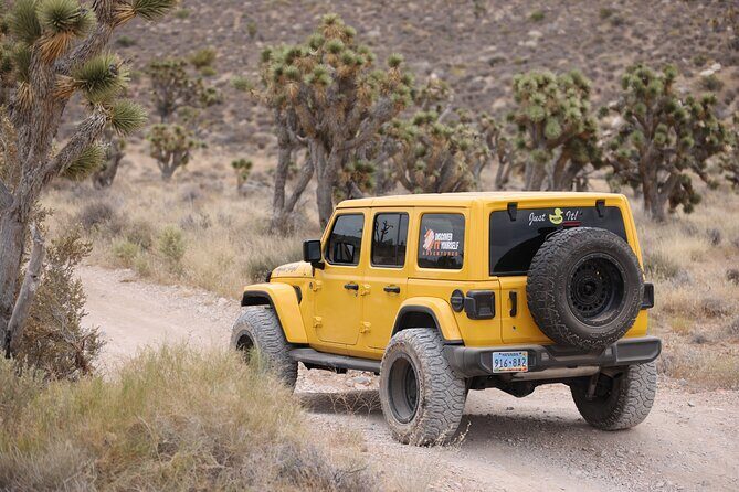 5 Hour Las Vegas Off-Road Secrets: Self Drive Jeep Adventure - What to Expect from the Self-Drive Jeep Adventure