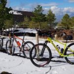 5-Hour Mount Etna Mountain Biking Tour - Authentic Traveller Perspectives