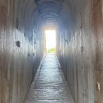 5 Hours Priene Miletos Didyma Customizable Private Tour - The Value of This Tour