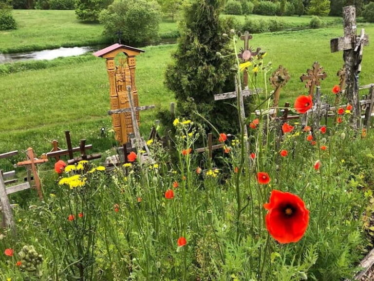 5,5 Hour Shared Tour to Hill of Crosses from Riga - How the Experience Adds Value