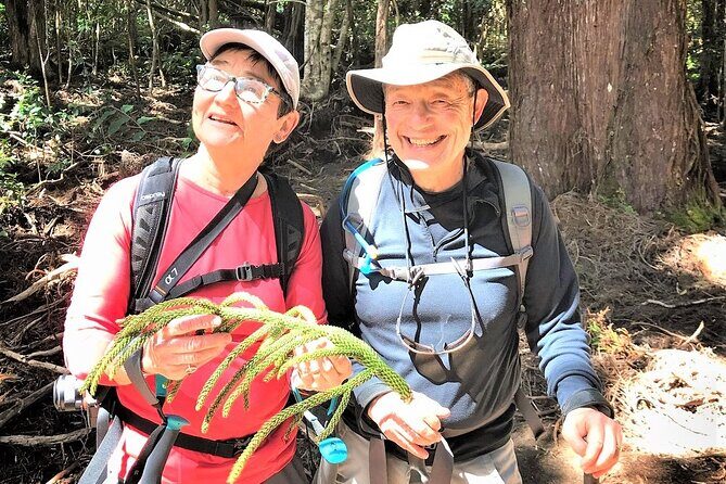 6-7 Hours Private Kauai's Hidden Gems Experience with Snacks - FAQ