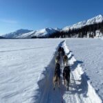 6 Days Brooks Range Expedition Private Tour - Who Should Consider This Tour?