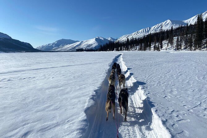 6 Days Brooks Range Expedition Private Tour - Who Should Consider This Tour?