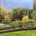 6 Hour Napa or Sonoma Valley Wine Tour by Private SUV - The Sum Up