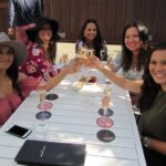 6 Hour Private Customized Wine Tour up to 7 Guests Napa & Sonoma - Who Should Consider This Tour?