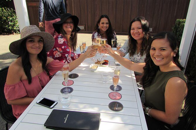 6 Hour Private Customized Wine Tour up to 7 Guests Napa & Sonoma - Who Should Consider This Tour?