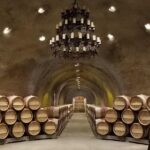 6-Hour Private Wine Tasting Tour with a Sample Stops - What You Get and What You Don’t