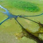 60 min. Everglades Airboat ride & pick-up ,small group +pro guide - What Does the Tour Cost and Is It Worth It?