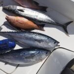 6HR Fishing Charter - What to Expect on the 6HR Fishing Charter