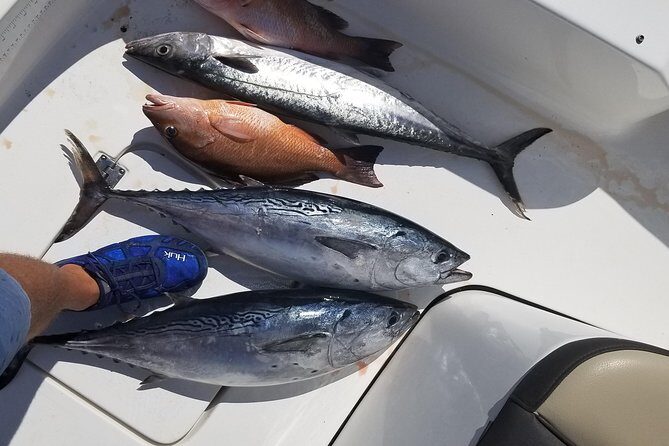 6HR Fishing Charter - What to Expect on the 6HR Fishing Charter