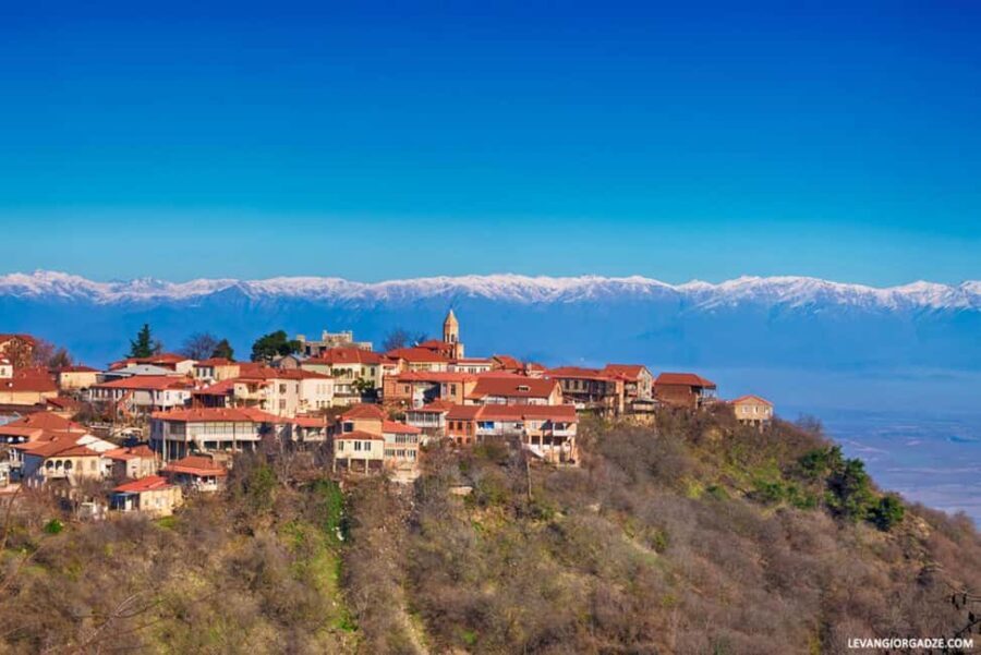 7-Day Georgia Tour with Wine, Mountains, Canyons & Meals - What’s the Value?