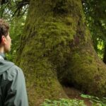 7 Day Guided Small Group Tour On Vancouver Islands West Coast - Who Is This Tour Best Suited For?