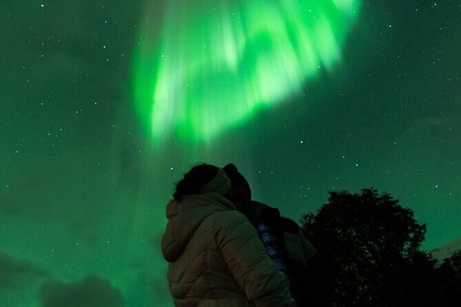 7 hours Tromsø Aurora Tour: Photos, snacks & warm drinks included - The Experience in Practice