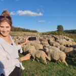 7h Dracula's Castle Private Tour from Bucharest - Fast Tour - The Experience Breakdown: What to Expect on This Tour