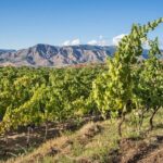 8 Days Private Authentic Sicily Tour - Is It Worth the Price?