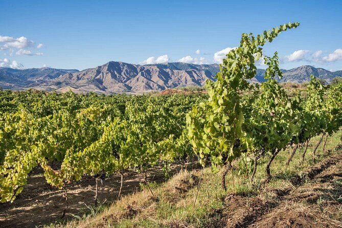 8 Days Private Authentic Sicily Tour - Is It Worth the Price?