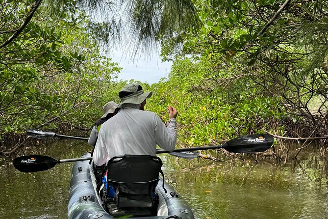 8-Hour Jungle Tour and Lagoon Passage to the Ocean in Fort Pierce - Analyzing the Value