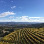 8-Hour, Private Limo Wine Tour to Napa from San Francisco - The Itinerary: What’s Included and What to Expect