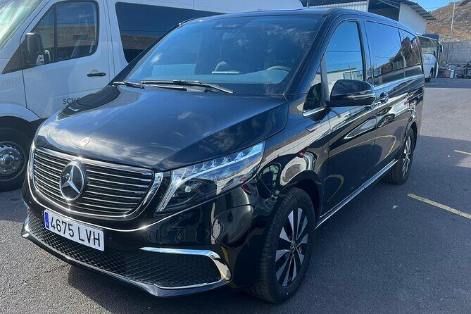 8-Hour Rental in a Luxury Car and Driver/Official Private Guide in Tenerife - The Value of a Private Guide and Driver