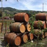 8-Hours Private SUV (up to 6 Passengers) San Francisco to Napa Valley Wine Tour - Who Is This Tour Best For?