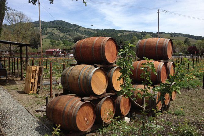 8-Hours Private SUV (up to 6 Passengers) San Francisco to Napa Valley Wine Tour - Who Is This Tour Best For?