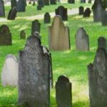 80-Min Narrated Trolley Tour of Historic Boston & Freedom Trail - The Experience: Pros and Cons