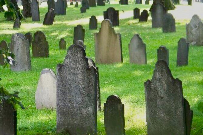 80-Min Narrated Trolley Tour of Historic Boston & Freedom Trail - The Experience: Pros and Cons