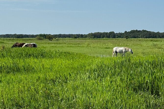 90 Minute Airboat Tour in the Florida Everglades - Who Should Consider This Tour?