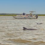 90 Minute Hilton Head Dolphin and Nature Cruise - Who Is This Tour Best For?