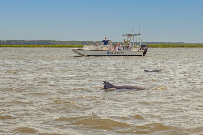 90 Minute Hilton Head Dolphin and Nature Cruise - Who Is This Tour Best For?
