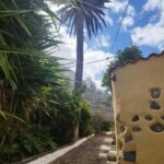 90-minute walking tour overlooking Barranco Ruiz, Tenerife - The Value of the Experience