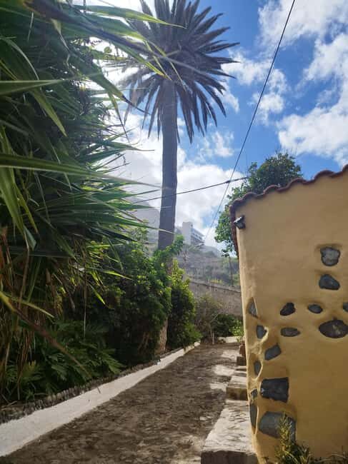 90-minute walking tour overlooking Barranco Ruiz, Tenerife - The Value of the Experience