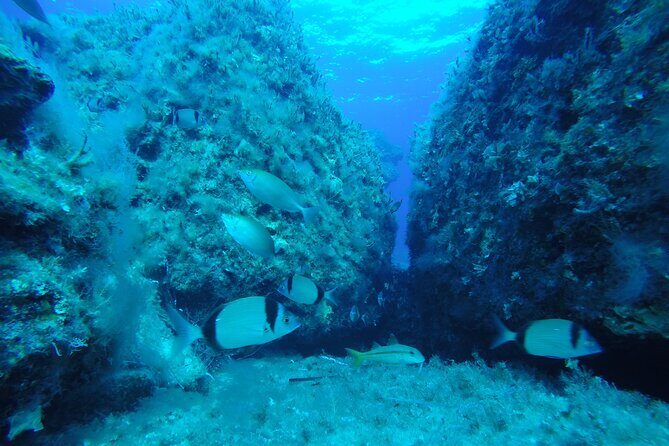 90-Minutes Glass Bottom Trip With Quick Dip - The Onboard Experience and Facilities