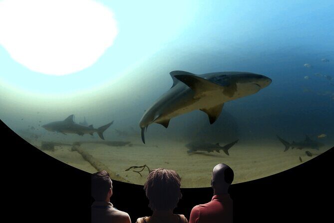 A 360° Immersive Ocean Movie Experience (Catalina Island) - Is It Worth the Price?