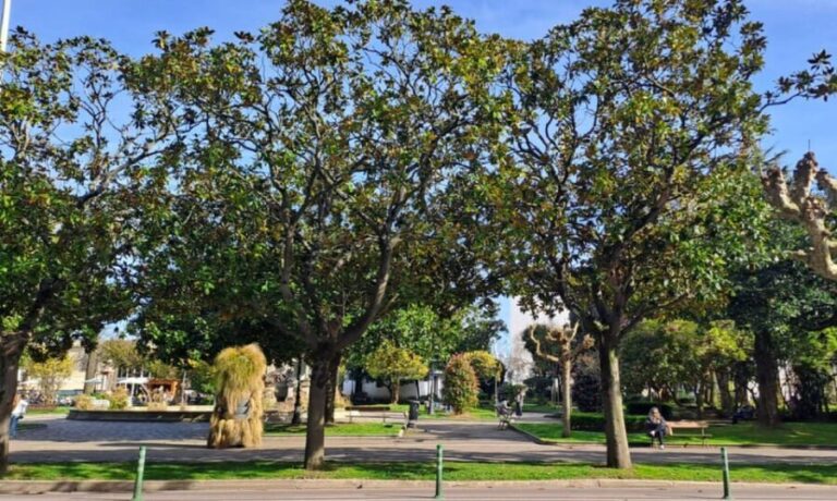 A Coruña: Premium Tuk Tuk tour - The Practical Details: Price, Duration, Accessibility