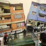 A Day at the Museum - Natural History Museum London - The Real-World Experience Based on Reviews