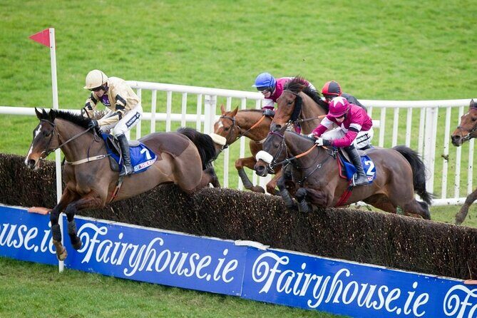 A Day At The Races & the Horse Lovers Tour - The Practicalities