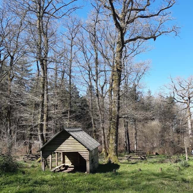 A Day Hike in Mervent Forest (Vendée) - The Practicalities: What’s Included and What’s Not