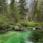 A day trip from Ljubljana: Magical nature and lake Bohinj - Hidden Trails and Waterfalls