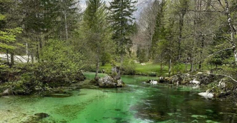 A day trip from Ljubljana: Magical nature and lake Bohinj - Hidden Trails and Waterfalls