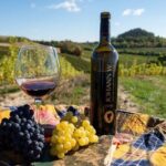 A delightful wine tasting in the scenic countryside with lunch - Visiting Vineyards and Tasting Local Wines