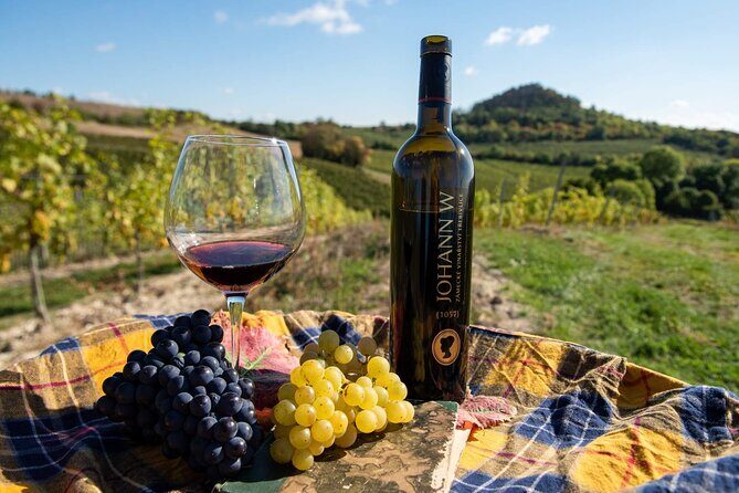 A delightful wine tasting in the scenic countryside with lunch - Visiting Vineyards and Tasting Local Wines