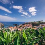 A great tuk-tuk adventure Tour at Cabo Girão - Skywalk - Who is this tour best suited for?